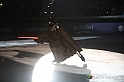 VBS_0621 - Cinema on ice 2023
